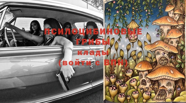 крисы Переславль-Залесский