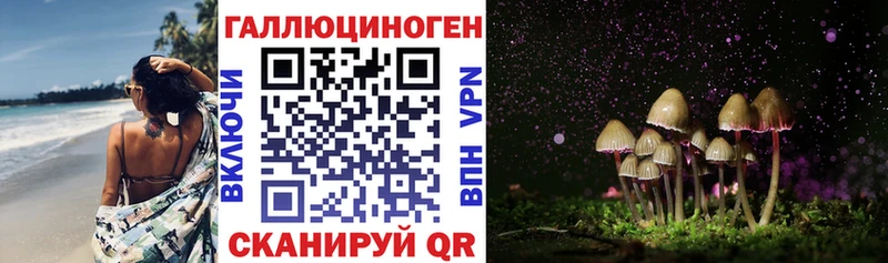 Галлюциногенные грибы Cubensis  Лаишево 